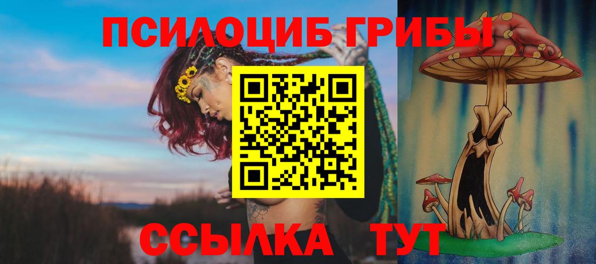 Галлюциногенные грибы GOLDEN TEACHER Кыштым